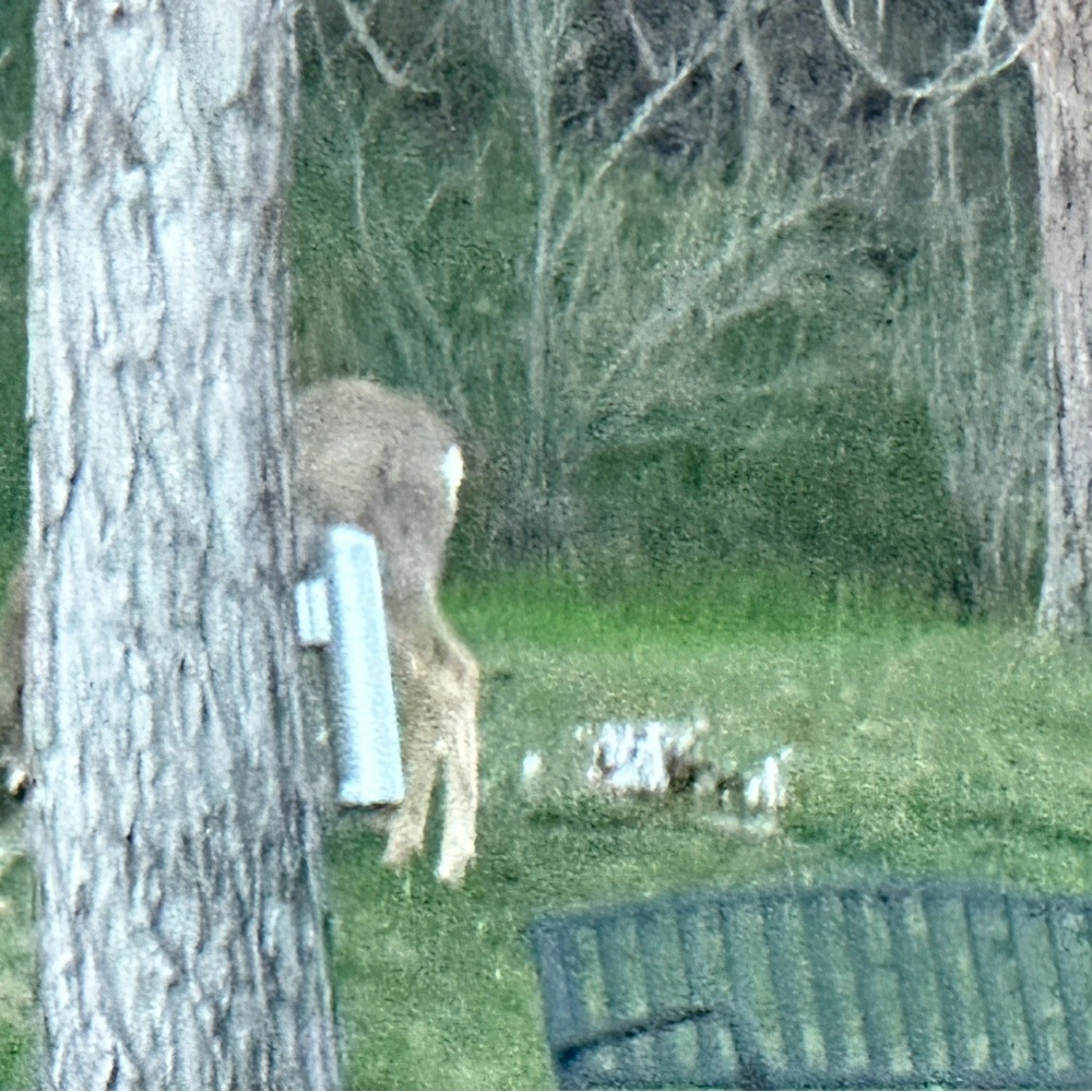 Meet your Posher, Julia